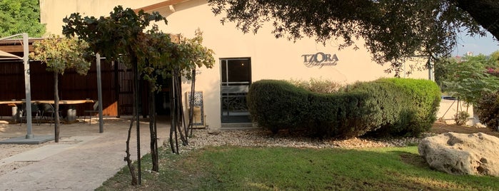 Kibbutz Tzora Winery is one of Lifestyle.