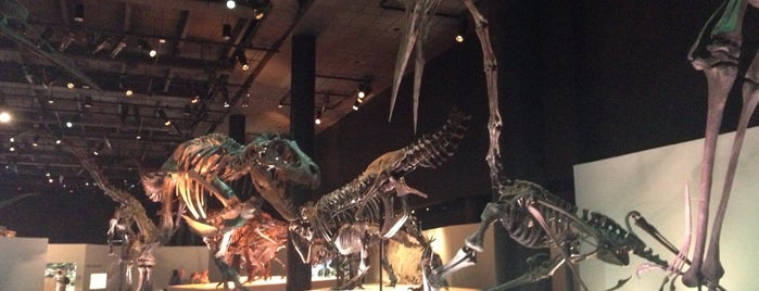 Houston Museum of Natural Science is one of Lugares preferidos de Houston.