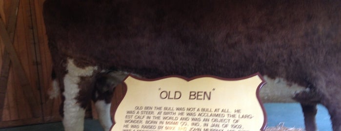 Old Ben - World's Largest Preserved Steer is one of World's Largest ____ in the US.