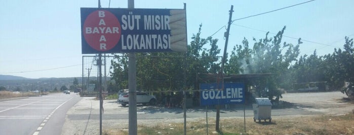 Bayar Misir is one of Lieux qui ont plu à Ahmet.