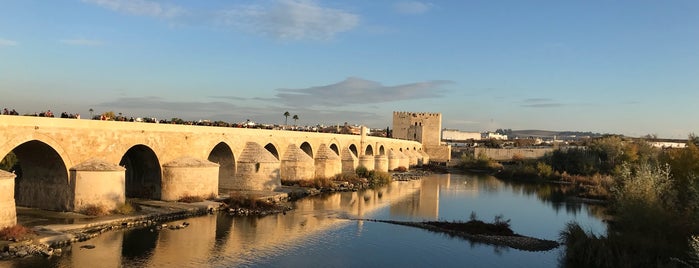 Puente Romano is one of Lugares favoritos de Vanessa.