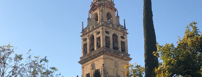 Patio de los Naranjos is one of Lugares favoritos de Vanessa.