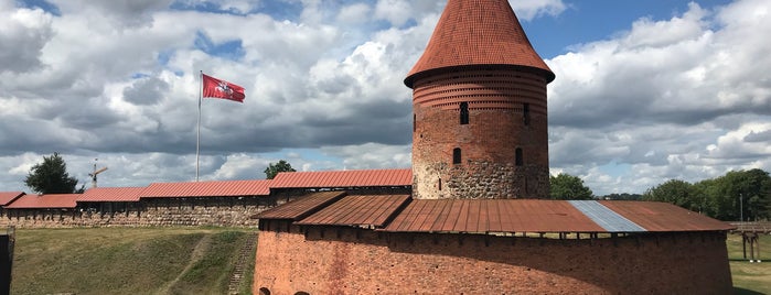 Kauno Pilis | Kaunas Castle is one of สถานที่ที่ Vanessa ถูกใจ.