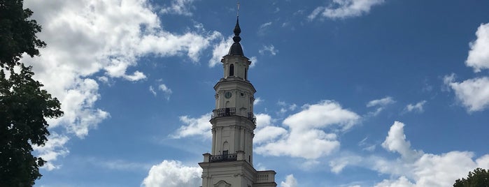 Rotušės aikštė is one of Tempat yang Disukai Vanessa.