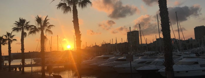 Puerto de Alicante is one of Lieux qui ont plu à Vanessa.