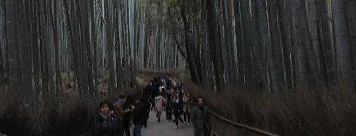 Arashiyama Bamboo Grove is one of Japan.