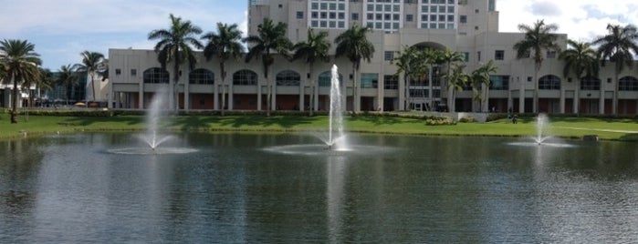 Florida International University is one of Miami 2013.