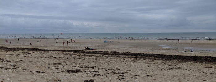 Plage des Gollandières is one of La Rochelle.