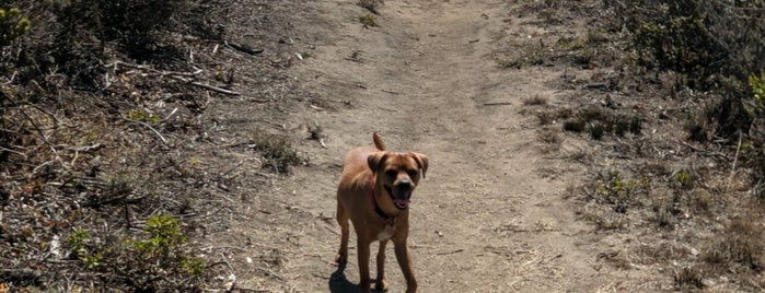 Rancho Corral de Tierra - Moss Beach trailhead is one of California - In & Around San Francisco.