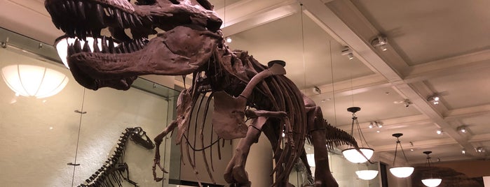 American Museum of Natural History is one of Tempat yang Disukai h.sarper.