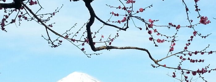 岩本山公園 is one of Tempat yang Disimpan Krstan.