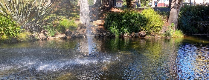 Alvord Lake is one of Golden Gate Park.