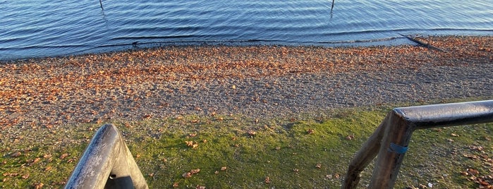 Warren G. Magnuson Beach is one of Seattle’s Swimming Holes.