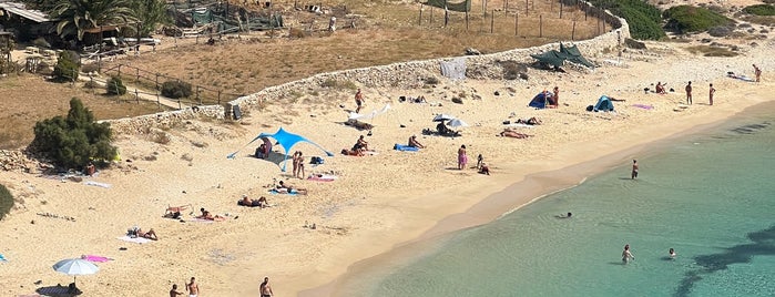 Κέδρος is one of gr-beaches.