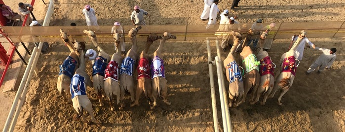 Dubai Camel Racing Club is one of Dubai for Visitors.