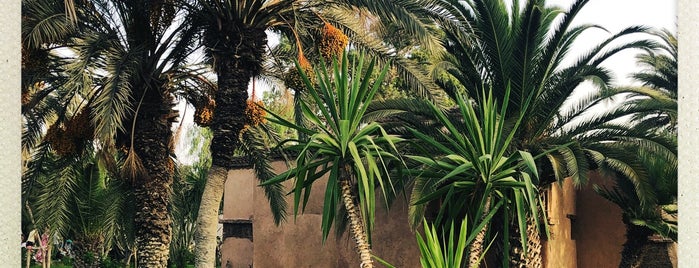 Jardin d'Olhao is one of Agadir.