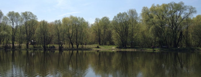 Богатырский пруд is one of По Москве.