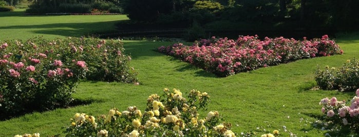 Westbroekpark is one of Parks & Outdoors : Den Haag.