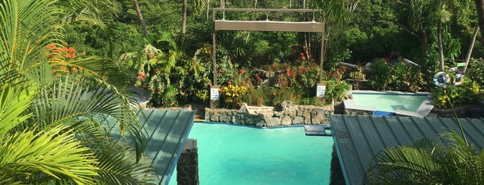 The Lazy Parrot is one of Places in PR to check out....