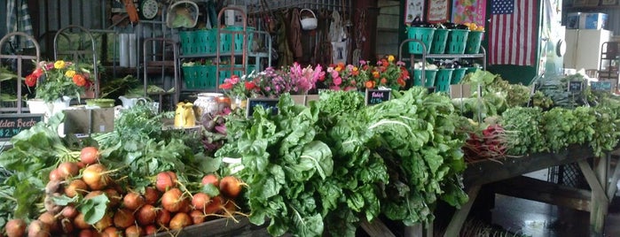 Rottkamp Farm Stand is one of Long Island Summer & Fall Favorites.