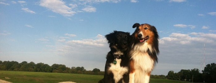 Shelby Farms Dog Park is one of สถานที่ที่ Jacque ถูกใจ.