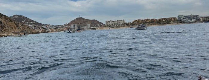 Playa Pelicanos is one of Cabo San Lucas.