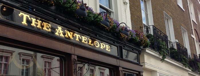 The Antelope is one of London pubs.