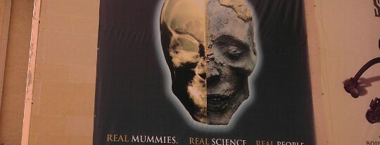 Mummies of the World is one of TX.