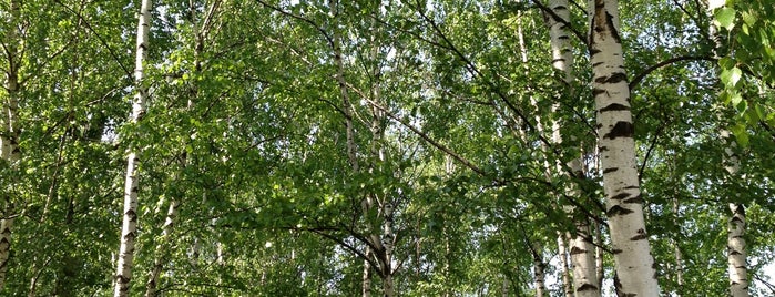 Stroginsky Park is one of Погулять.