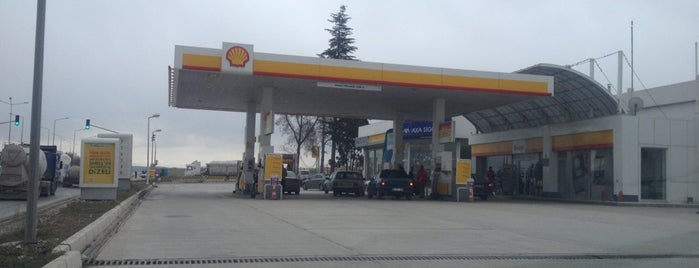 Shell is one of Tempat yang Disimpan Erman.