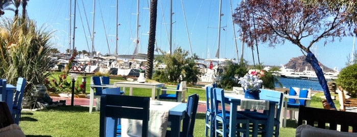 Mozart Cafe is one of Bodrum Bodrum.