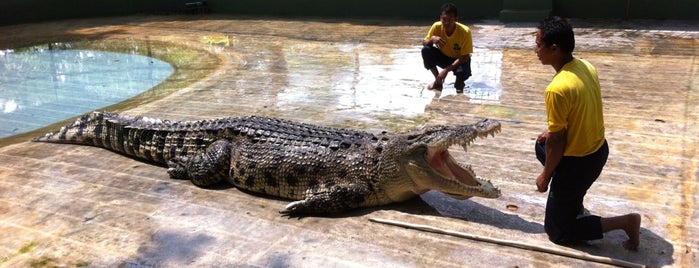 Crocodile Farm is one of Langkawi.