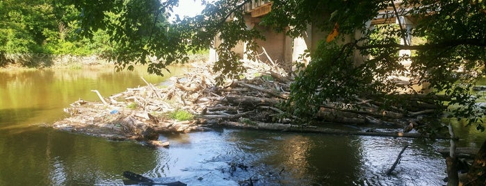The 15 Best Trails In Raleigh