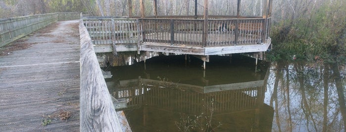 Capital Swamp Boardwalk is one of Arthur : понравившиеся места.