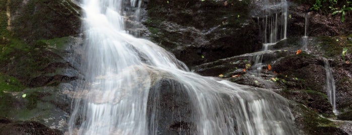 Crabtree Falls is one of Virginia - Spring 2014.