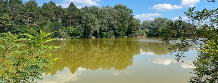 Félsziget, Sziksós-tó is one of kirándulj.