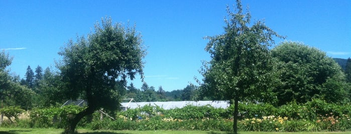 McKenzie River Organic Farm is one of Elsewhere.