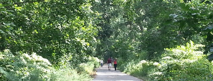 Alley Pond Park is one of Lawn guyland.