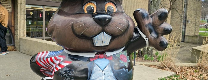 Punxsutawney, PA is one of Places not been visited yet.