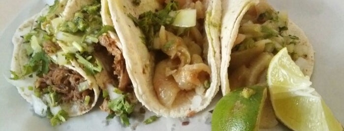 Taqueria Malena is one of Tacos.