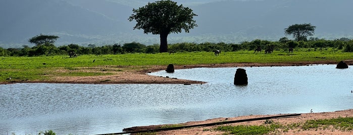 Tsavo West National Park is one of Lugares guardados de Kimmie.