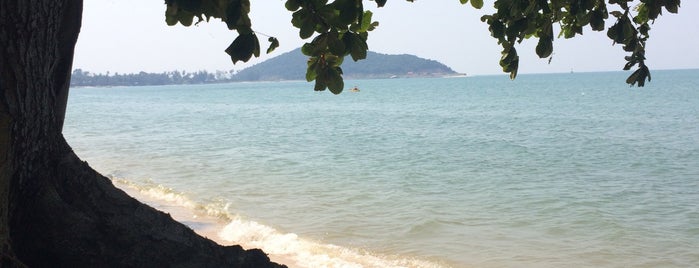 Lipa Noi Beach is one of Koh Samui (Thailand).