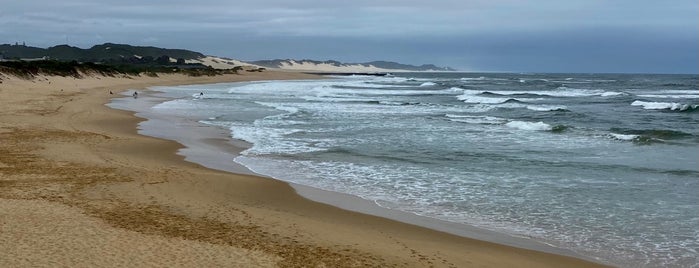 Kelly's Beach is one of Eastern Cape: Favourites CP.
