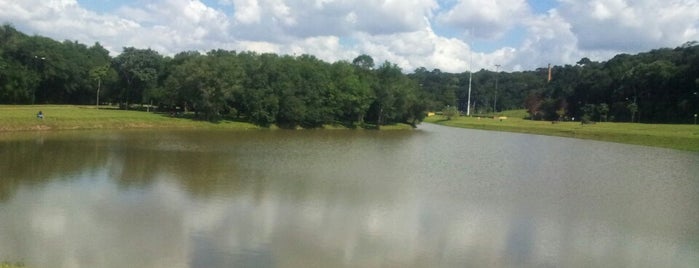 Parque Tingui is one of Descobrindo Curitiba.