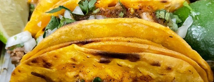 Birria-Landia is one of 🇺🇸 NYC Tacos 🌮.