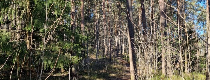 Pyynikinharju is one of Mai Tampere.