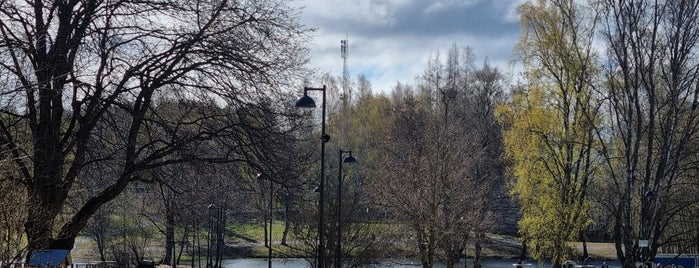 Sorsapuisto is one of Tampereen parhaat.
