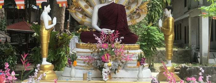 Wat Paa Sang Tham is one of Koh Phangan.