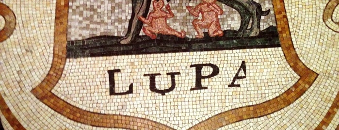 Lupa is one of Locais curtidos por W.