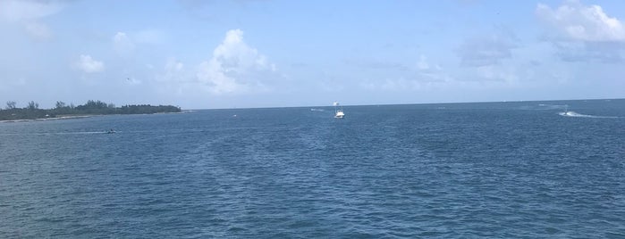 Virginia Key Outdoor Center is one of Lieux qui ont plu à Steven.